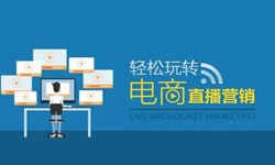 华亿线上平台,华亿（中国）公司、做一个直播系统华亿线上平台,华亿（中国）需要多少钱-北京软件外包公司