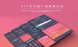 美妆商城华亿线上平台,华亿（中国）需要多少钱？北京软件外包