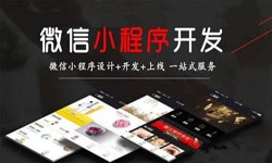 华亿线上平台,华亿（中国）公司、定制微信小程序开发，商家需要了解哪些？锐智互动华亿线上平台,华亿（中国）
