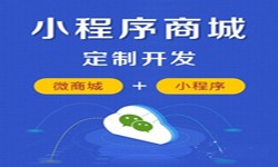 微信小程序开发、商城小程序开发功能-锐智互动华亿线上平台,华亿（中国）